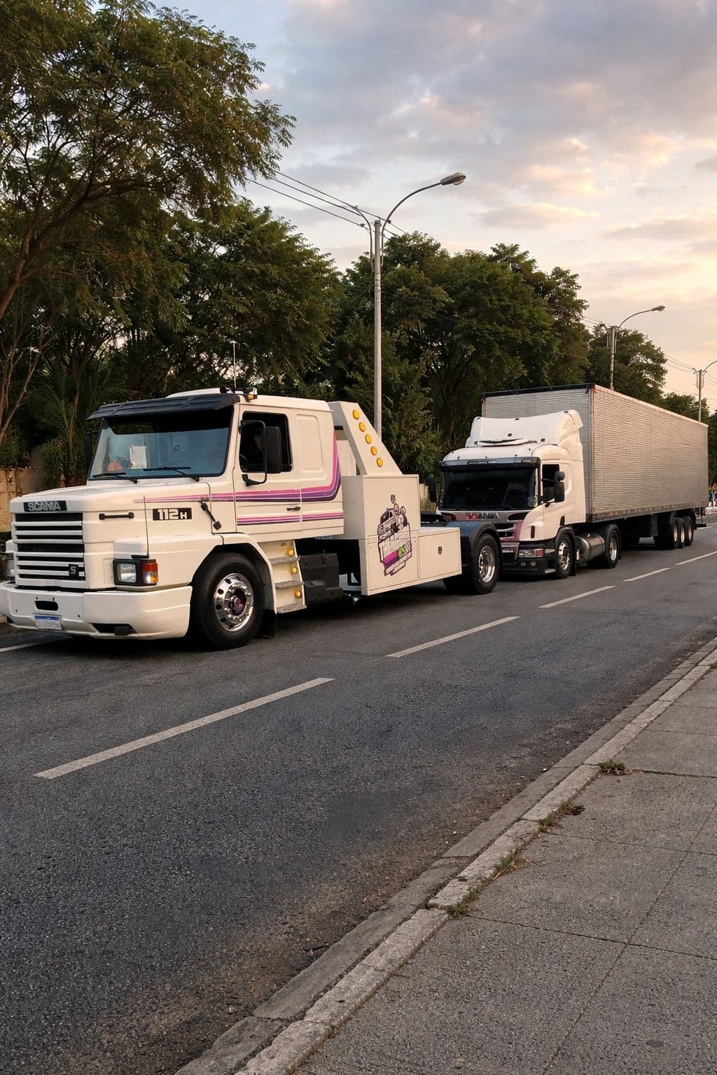 Transporte de carreta Leocadio Remoções - Remoção especializada
